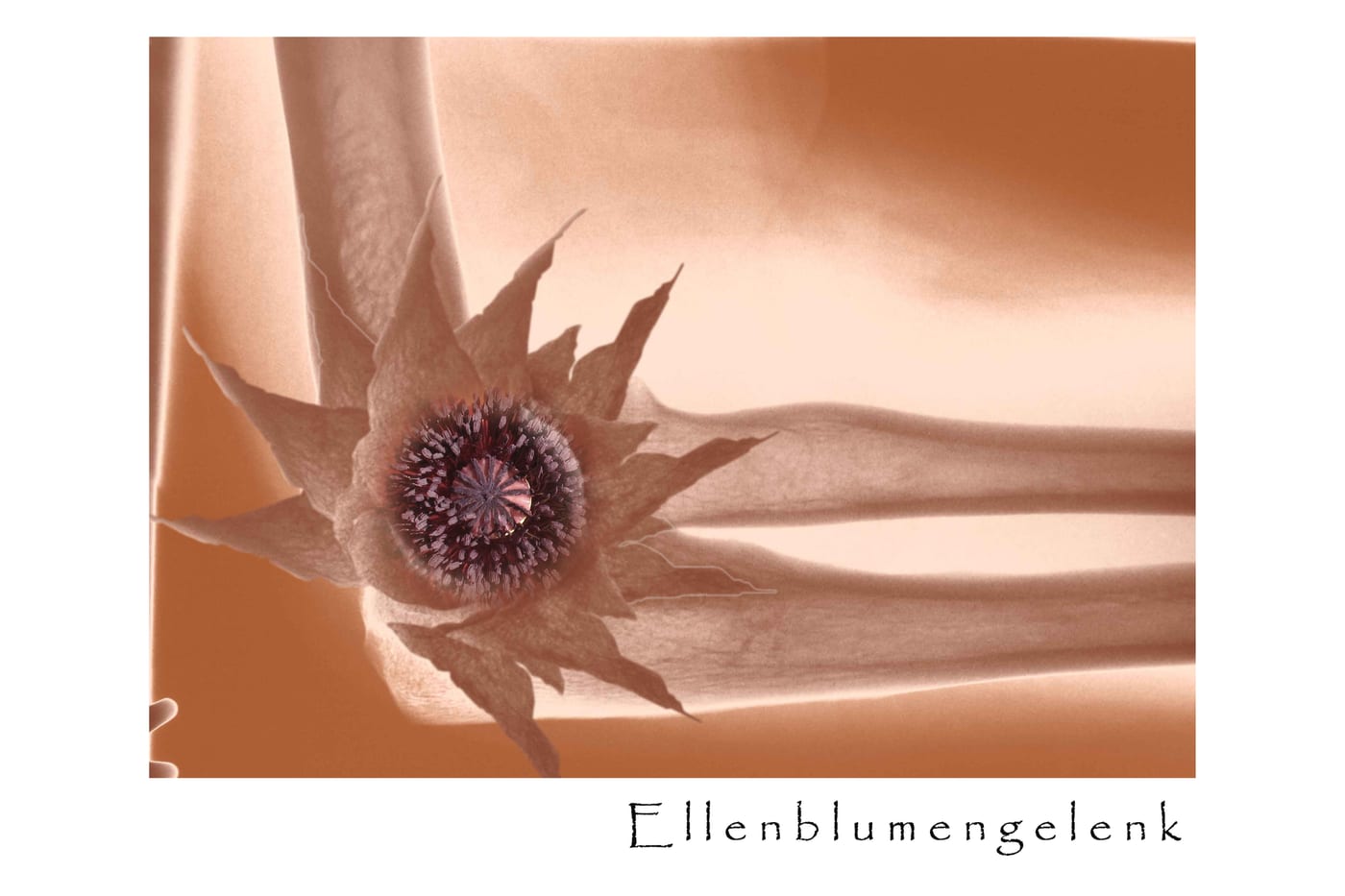 MEDI Z ART, Bild 8 von 8