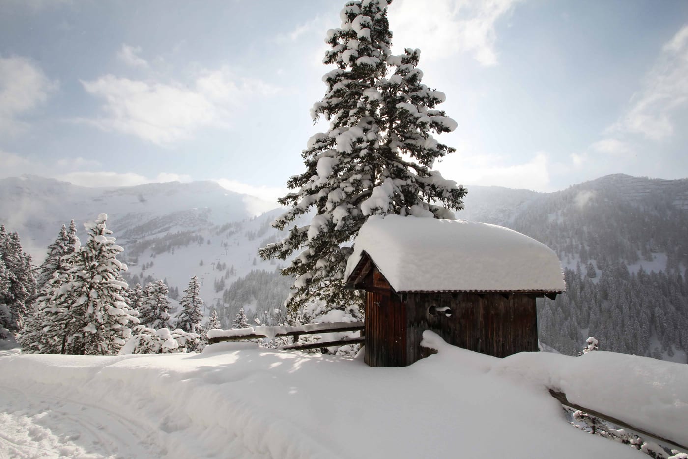 Winter, Bild 6 von 23