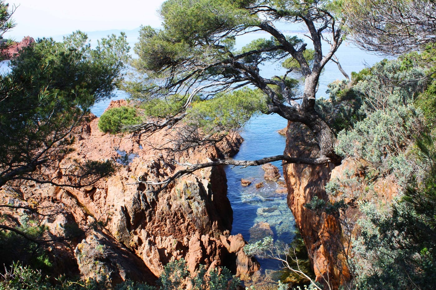 Provence, Bild 2 von 29