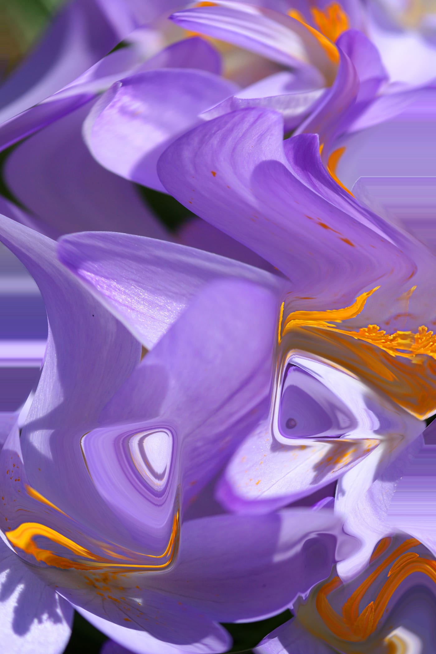 Fotopainting, Bild 8 von 16