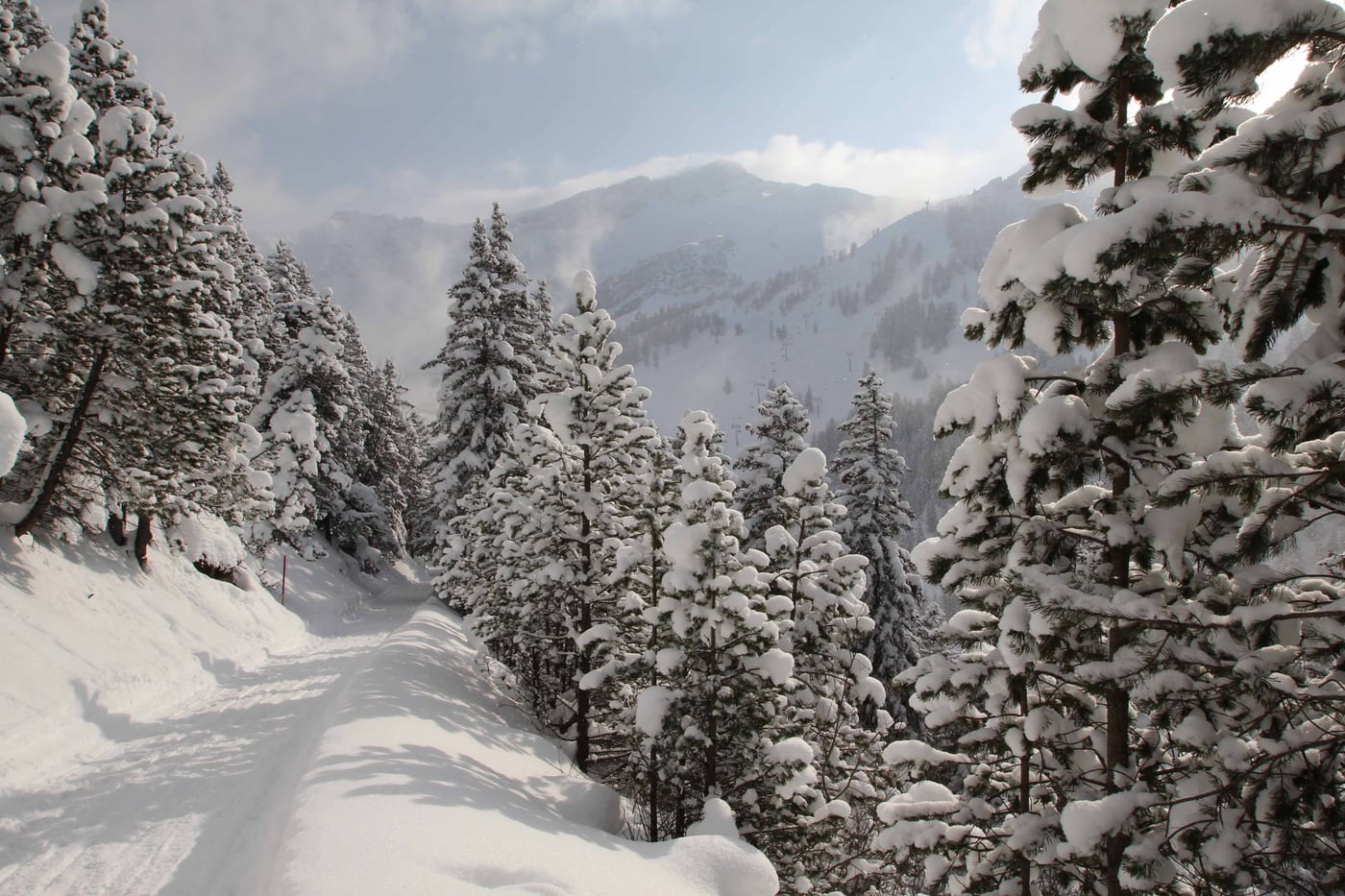 Winter, Bild 5 von 23