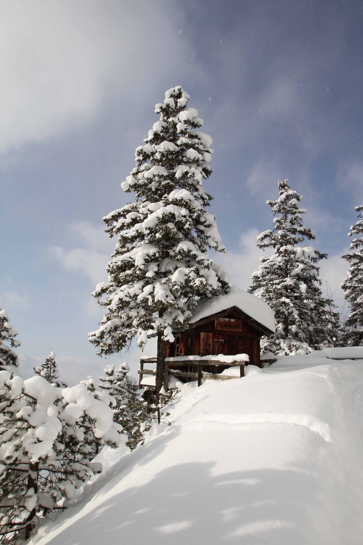 Winter, Bild 3 von 23