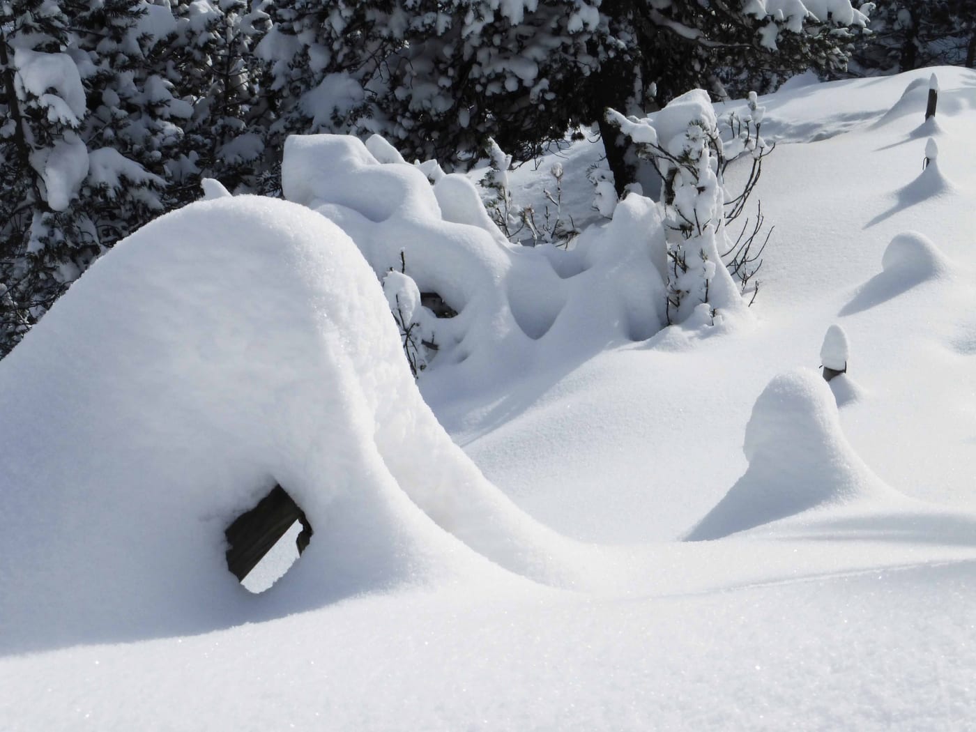 Winter, Bild 22 von 23