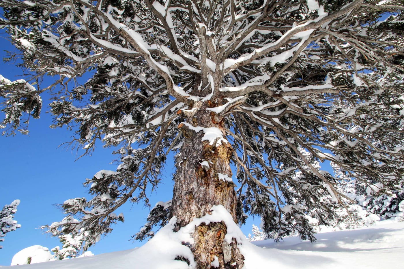 Winter, Bild 13 von 23