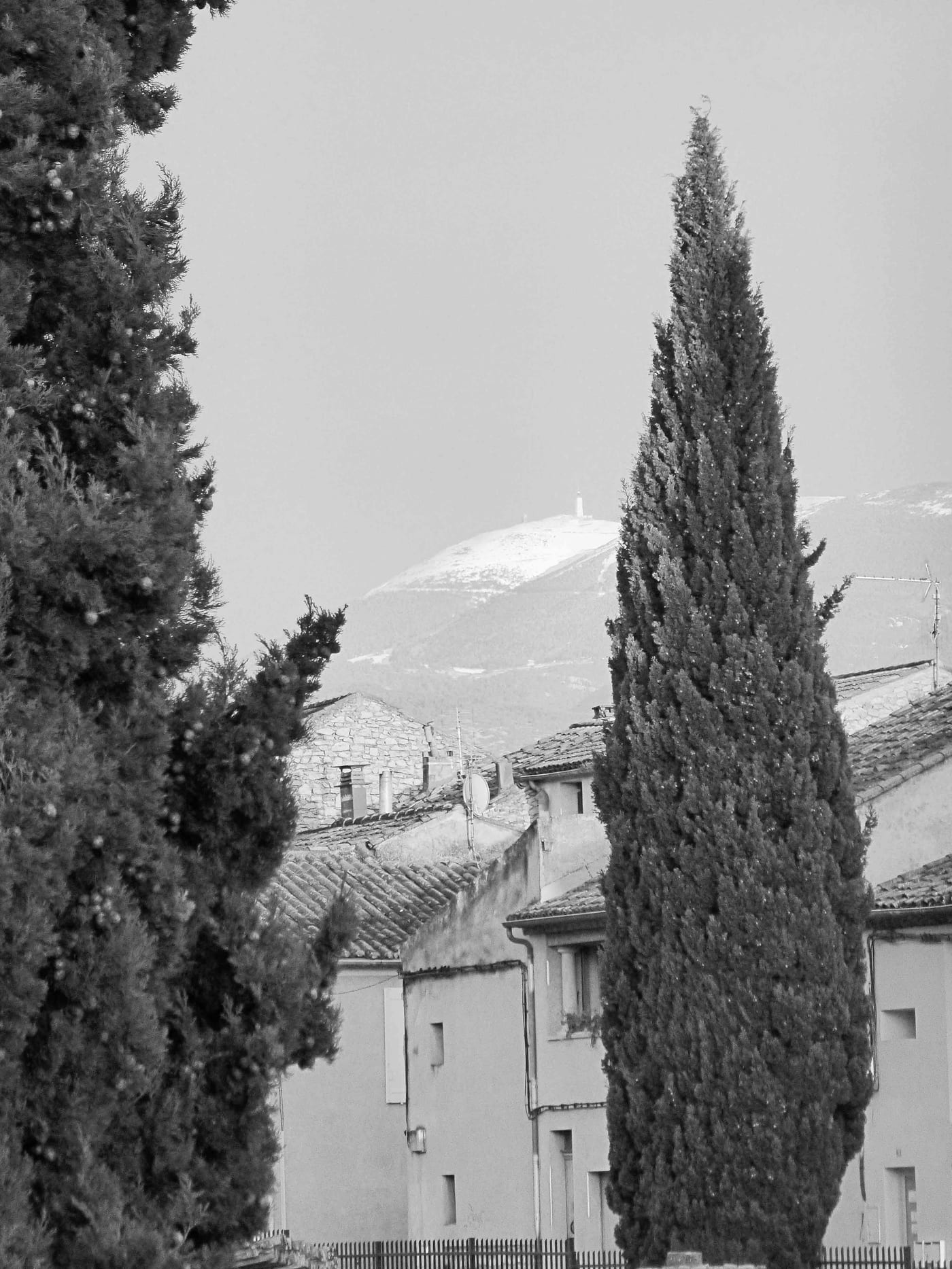 SCHWARZ-WEISS, Bild 19 von 27