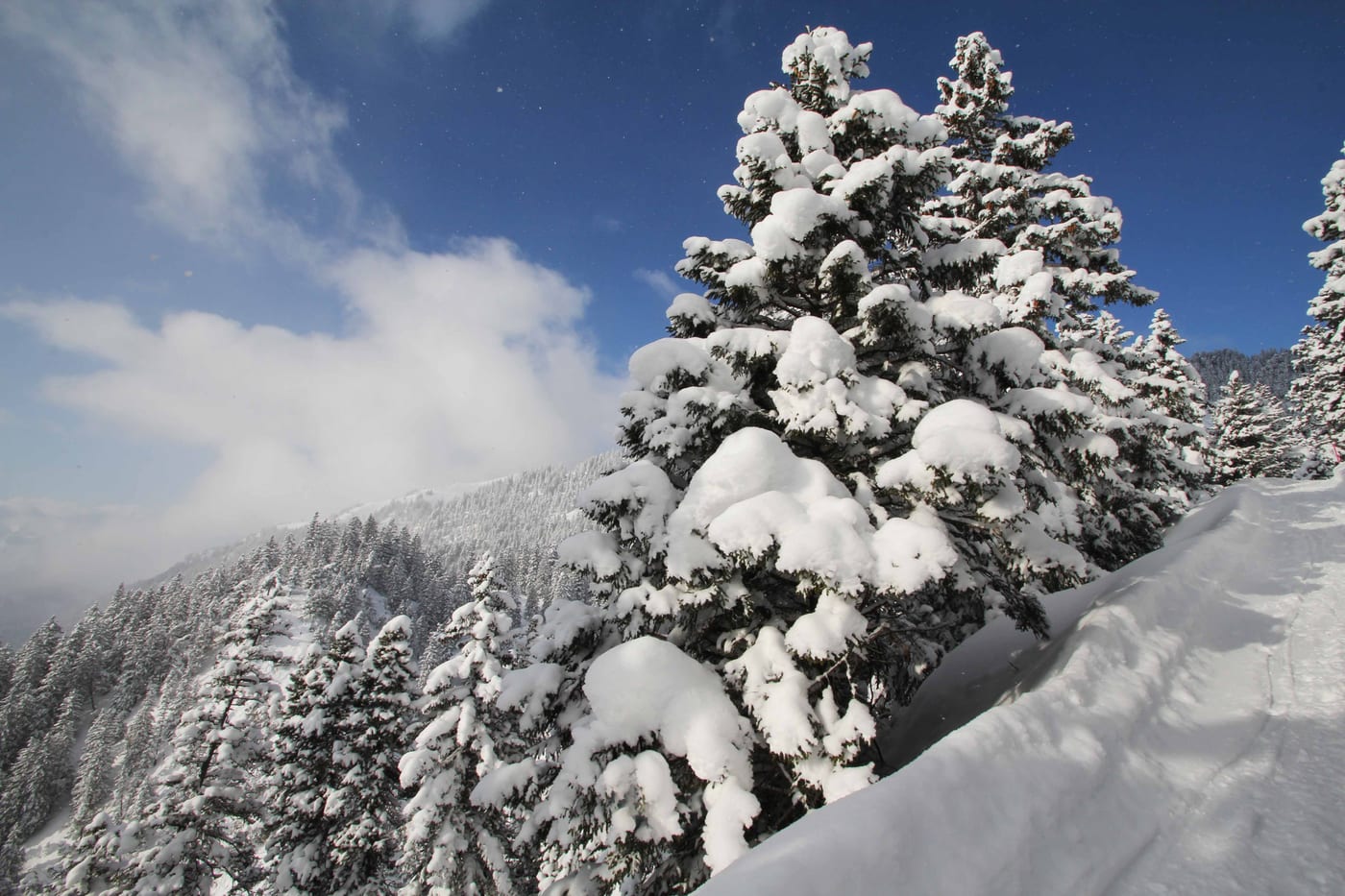 Winter, Bild 7 von 23