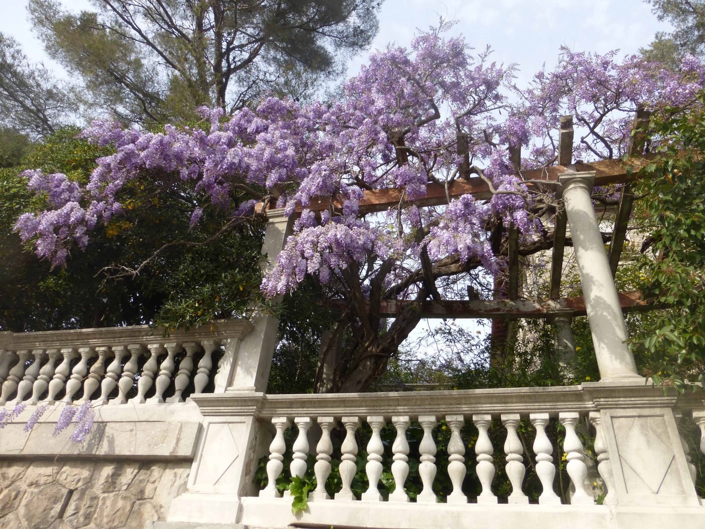 Provence, Bild 18 von 29