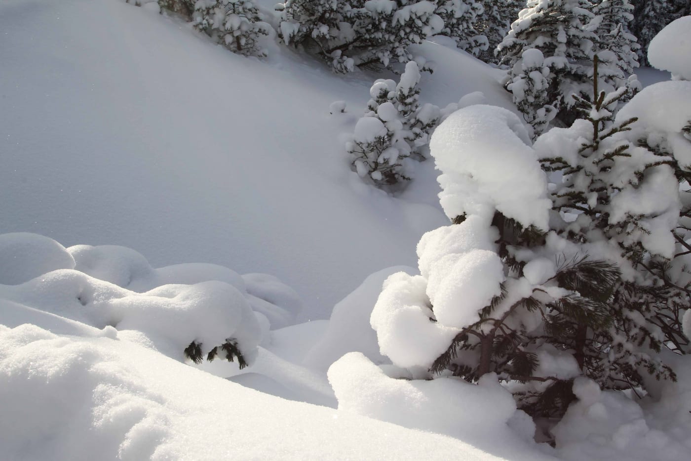 Winter, Bild 14 von 23