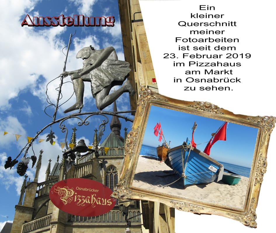 Ausstellungen