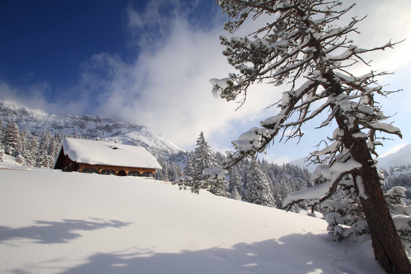 Winter, Bild 8 von 23