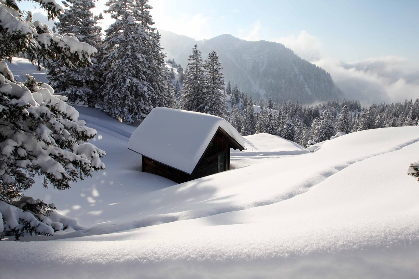 Winter, Bild 11 von 23