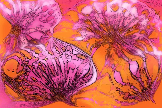 Fotopainting, Bild 14 von 16