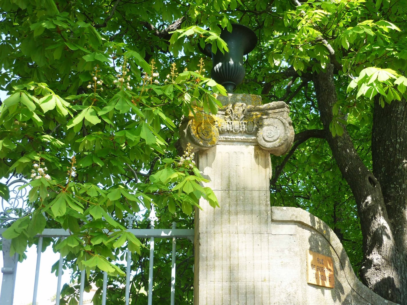 Provence, Bild 27 von 29