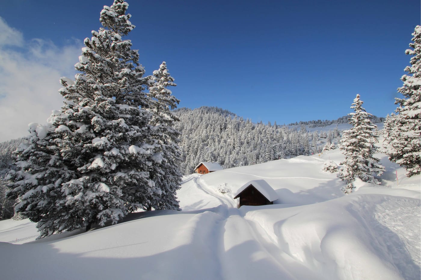 Winter, Bild 12 von 23