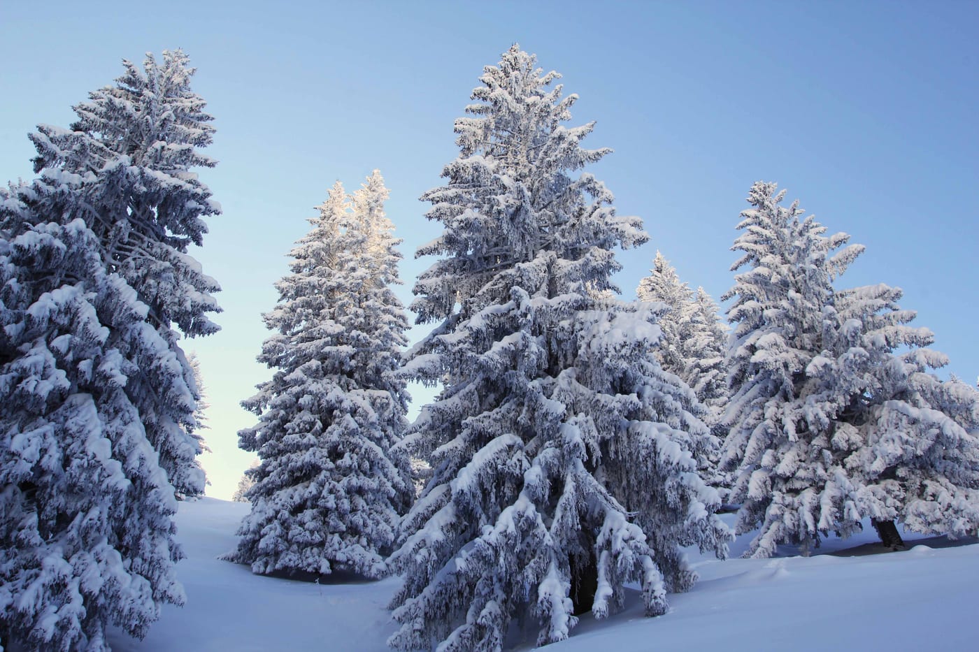 Winter, Bild 16 von 23